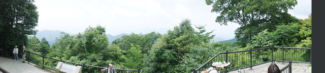 DSC00338.JPG