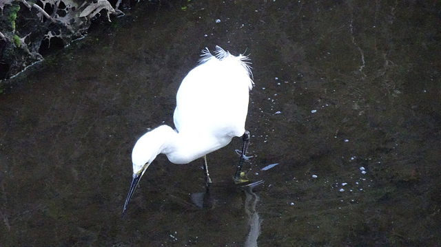 DSC08943.JPG